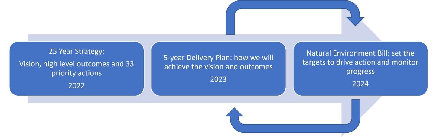 Biodiversity Strategic Framework Diagram